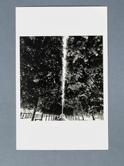 Bruce Davidson (b. 1933) Magnum Art Photo Print Card 4×6” Palais-Royal Garden