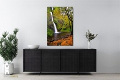Horsetail Falls – Columbia River Gorge, Oregon – Waterfall Photography Prints