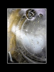 Author’s Photo – Down The Earth ’21 Black Passe-Partout 18x24cm