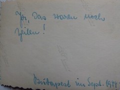 old original photo of 1944 pretty maid, flash girl in Budapest 2nd World War II