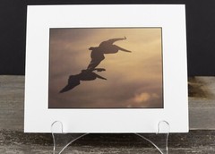 Sunset Pelican Print, 5×7, Thick Eggshell Texture Matte Paper, Ready to Frame