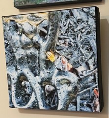 Abstract, Original Photograph on Canvas, Arts
