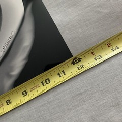 The Circle Game Annette Globits B&W Photo 2016 Signed By Artist 12” X 18”