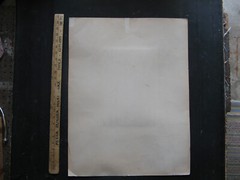 1890s ALBRECHT DURER -APOSTLE- Carbon Print/Photogravure BRAUN CLEMENS & CIE