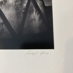 MICHAEL KENNA Signed GREENHOUSE Toned Gelatin Silver Print LIMITED EDITION 1979