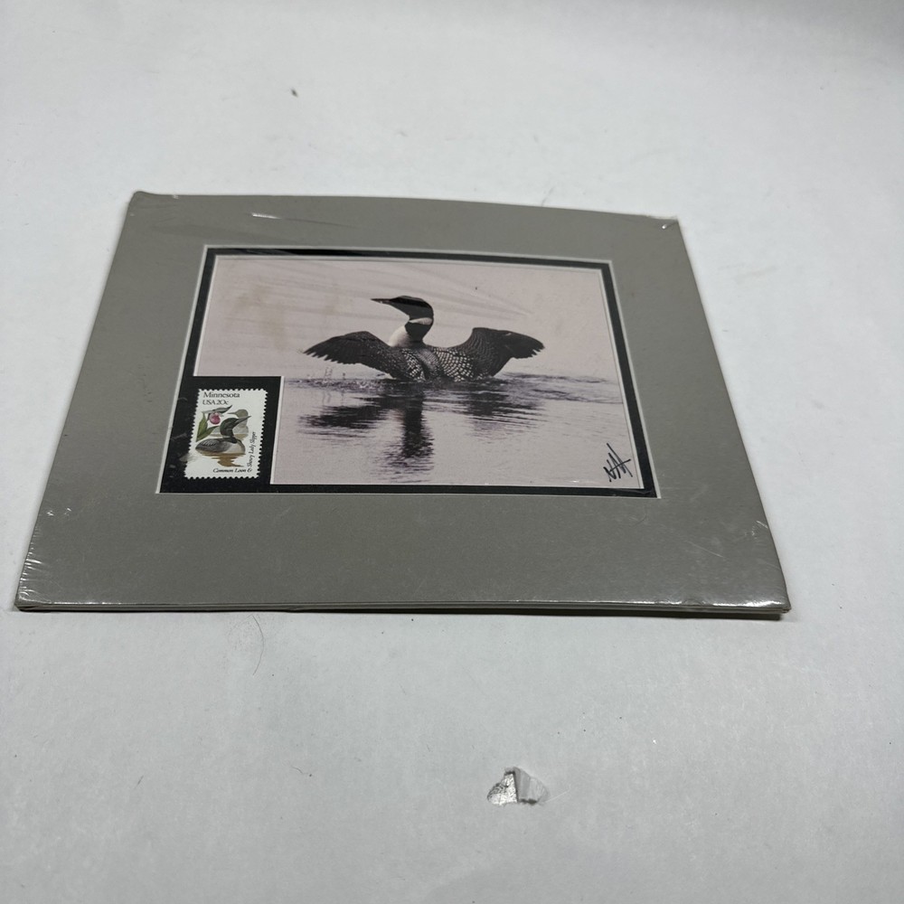 Normand Allard Big Stretch Loon Print With 20 Cent Minnesota State Postage Stamp