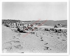 WWII American D-Day Rehearsal On Beach In England Silver Halide Photo
