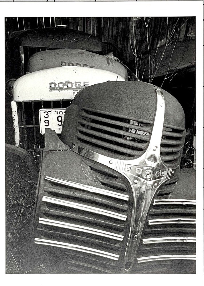Michael Johnson Photography Show Announcement Card 1994 – Recent Work – Dodge