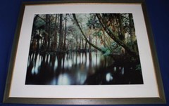 Photograph – L. Ed. (50), Framed 30″ x 40″ Loxahatchee River, FL, Jeff Ripple