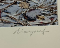 Original JOHN WAWRZONEK ‘Leaves on Water’ AUTUMN RED Landscape Signed PHOTOGRAPH