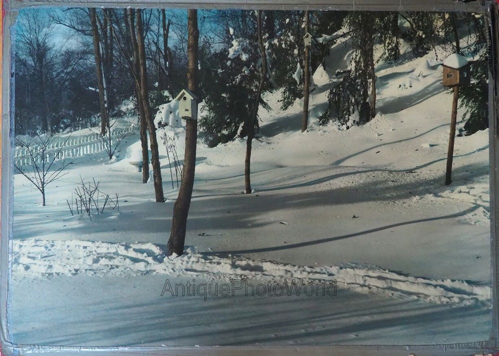 Winter landscape with bird house in snow large antique hand tinted photo