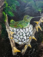 Bird Sitting on a Nest in Tree DIGITAL DOWNLOAD You Print Nature Art Farmhouse