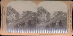 Stereo Photo Colorado USA, Arapahoe Peaks, Man with Horses at… – 11571504