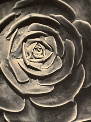 Large Close-Up 24″ x 20″ B & W Photograph of a Rose -1994-Mark Bugzester