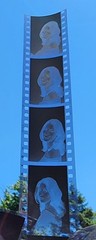 Vintage Amateur Model 35mm Film B+W / Color Negative Lot Vintage Photos /Proofs