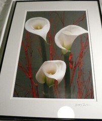 TRIO OF CALLA LILIES PHOTOGRAPHER SIGNED GREGG FELSEN