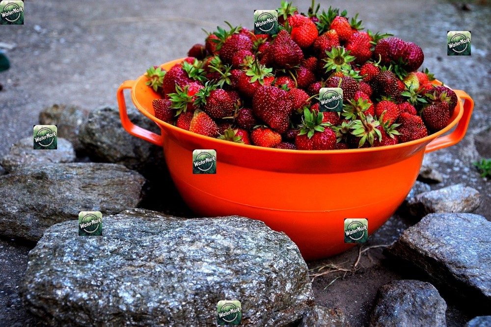 Digital Art photo virtual gift- e-product abowl full of strawberries, stones