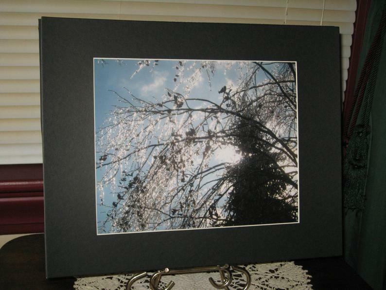 Ice Photography, Tree Photograph, Nature Print, Winter Photography, Matted