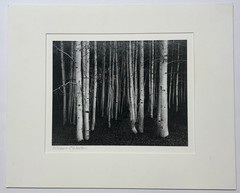 Original JOHN SEXTON ‘Aspens Dusk Conway Summit CALIFORNIA’ Signed PHOTOGRAPH