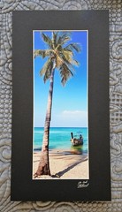 COLORFUL THAILAND PHOTOGRAPH Tropical Beach Island Decor, Palm Tree Boat, 8×15″