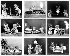 Anthropomorphic Dressed Up Cats Kittens In Human Situations Set Of 22 Photos