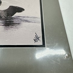 Normand Allard Big Stretch Loon Print With 20 Cent Minnesota State Postage Stamp