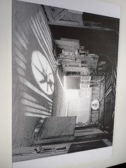 Elliot Erwitt Black And White Print