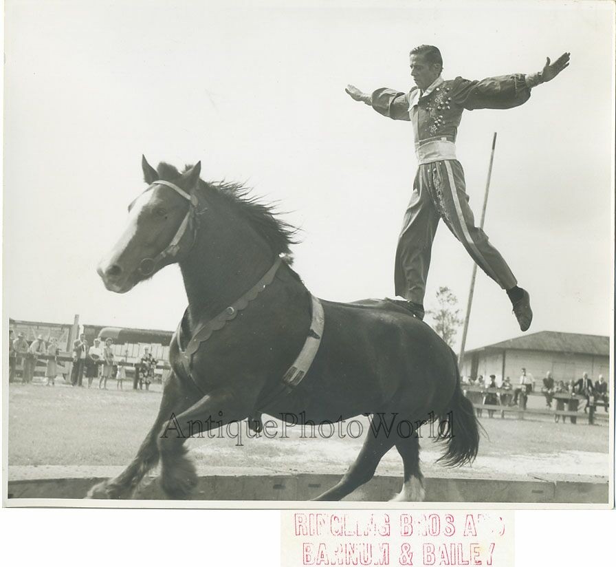 Acrobat on horse Ringling Barnum circus antique photo