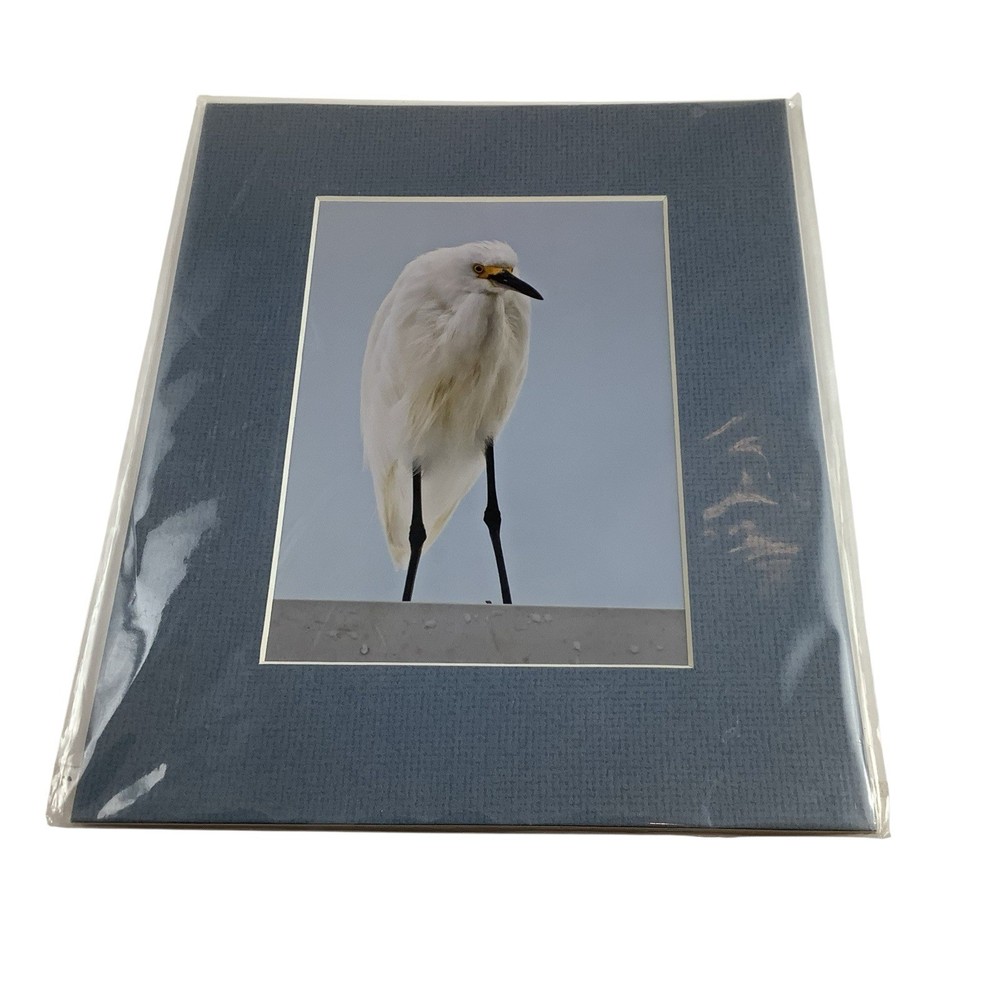 VTG Snowy Egret Bird Photo Art by RCR Cathy Nokomis Florida Blue Matted 6 1/2” H
