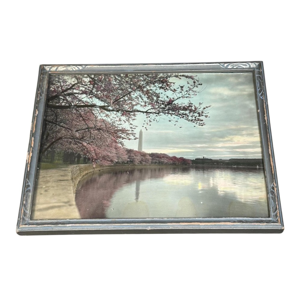 Antique Washington DC Cherry Blossoms Monument Photo Hand Tinted 8×10 Framed