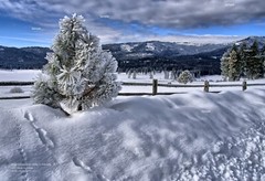 Idaho Mountains Winter Snow Scene #6 Landscape Poster Photo Print MD01