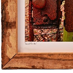 MICHAEL RAY Original Vintage Signed NY Secret Garden Landscape Photograph Print
