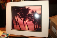 Vintage Matted 11×14 Photo Sunset in the Islands Palm Trees