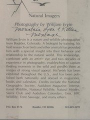 Natural Imagery Signed Photograh William Ervin A Mountain Lion and Kitten Framed