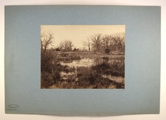 CONSTANT ALEXANDRE FAMIN mounted albumen [Marsh Landscape] Fontainebleau Forest