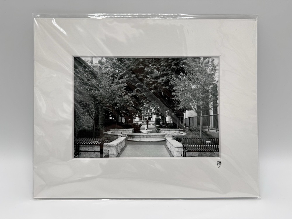 Original Fine Art Print Initialed by Photographer Diane Budzynowski! NEW w/Matte