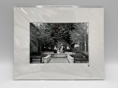 Original Fine Art Print Initialed by Photographer Diane Budzynowski! NEW w/Matte