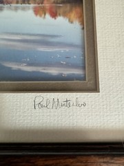 Signed Photo Framed Wall Art Fall Trees, Lake Country Photo Art