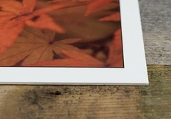 Autumn Leaf Art Print, 5×7, Thick Eggshell Texture Matte Paper, Ready to Frame