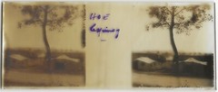 Camp Military WW1, Plate Glass Stereo, Positive Antique Black & White