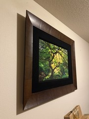 Peter Lik Inner Peace 794/950