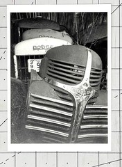 Michael Johnson Photography Show Announcement Card 1994 – Recent Work – Dodge