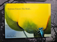 DODGEZEN MOMENTS IN TIME EDITION MY PHOTOGRAPHS PRINTED ON GLASS. INSPIRATIONAL