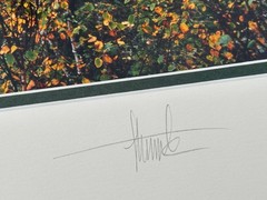 Jay Steinke Hungry Jake Lake Fall Leaves Minnesota Signed Photo Matted 19×16