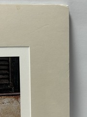 John And Debora Scanlan AP Italy Cat Photograph Print With COA Signed Numbered