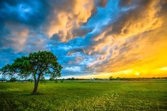 Storm Clouds Photography Print: Texas Sunset Sky Landscape Tree Weather Photo