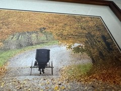 Wade Wilcox Signed Photography Photo Amish Buggy Autumn Scene Country Americana