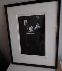 Framed Signed Dated PHOTOGRAPH Black & White Flowers/Vase 1989-14.75″H X 12″L