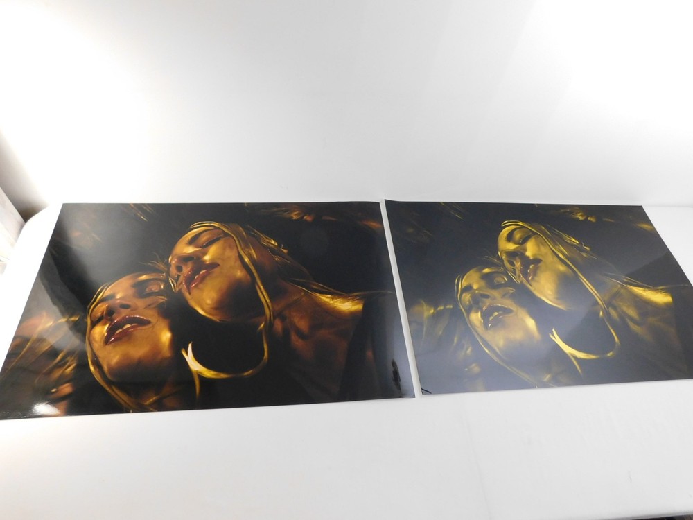 2015 Amateur Photography Vivid & Gold Gelatin Sheen Art School Project 20″ x 30″