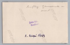Excursion of the municipal office Großbothen Grimma 1949 on the side of the road – photo